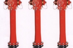 hd11
